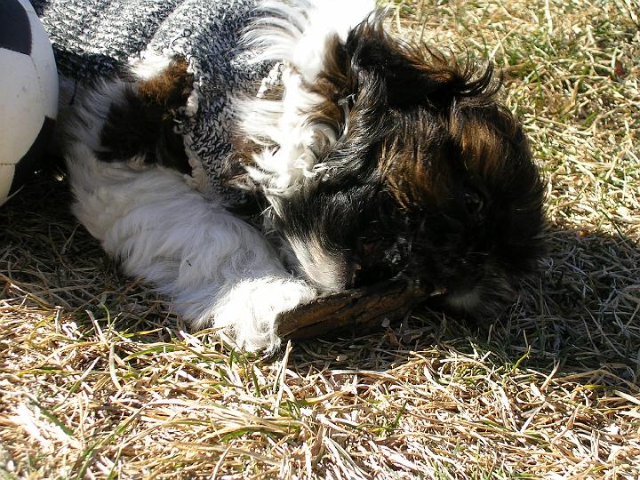 DSCN1087.JPG