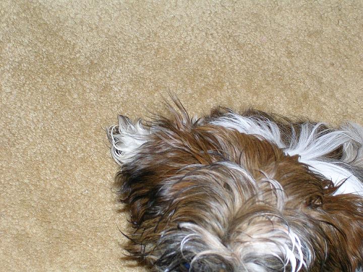 DSCN1110.JPG