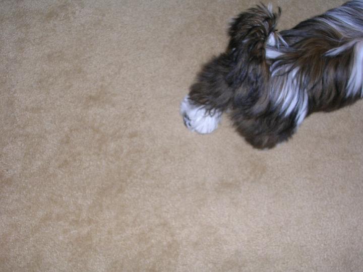 DSCN1131.JPG